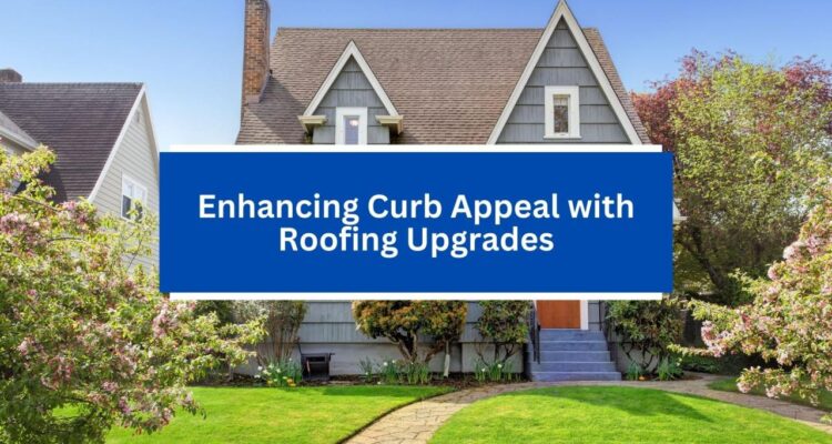 Enhancing Curb Appeal with Roofing Upgrades